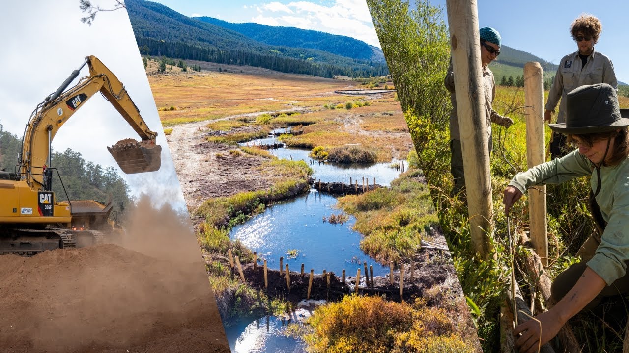 Restoring the Colorado River Watershed through Nature Based Solutions