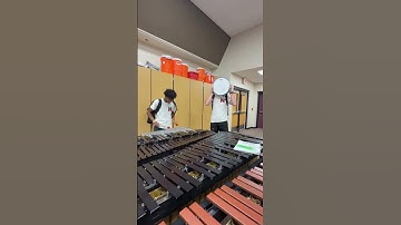 Airlines need new speakers😭 #tsa #airport #announcement