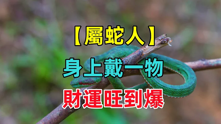 【屬蛇終身吉祥物】屬蛇人身上戴一物，財運旺到爆，怎麽擋都擋不住！ - 天天要聞