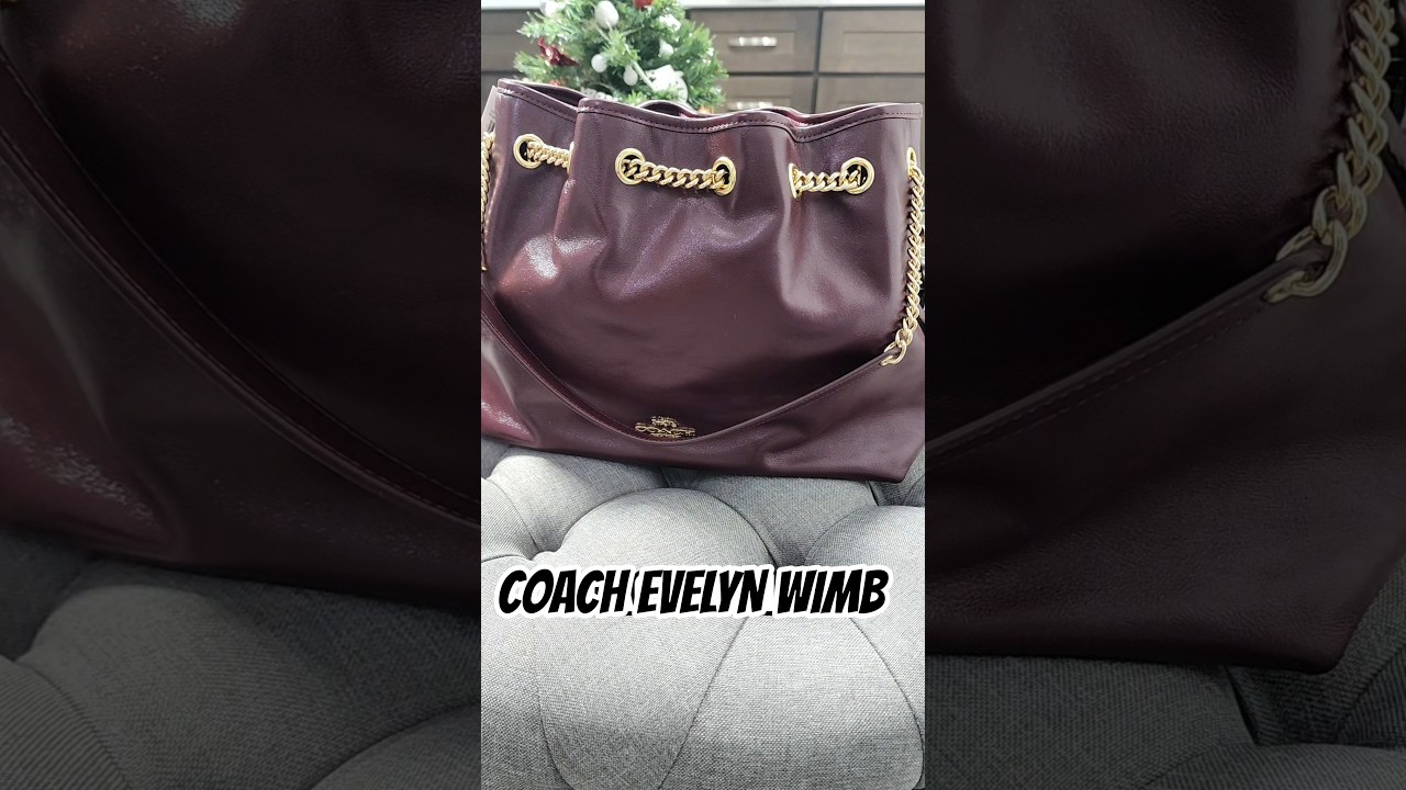 WHAT'S IN MY BAG | COACH EVELYN BAG DETAILS | COACH | YANCY WILL #coach