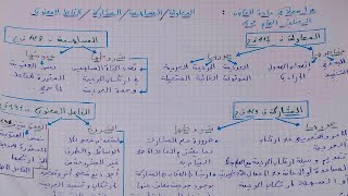 مراجعة في مادة القانون الجنائي العام s2: المحاولة /المساهمة/المشاركة/ الفاعل المعنوي في فيديو واحد️