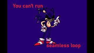 You can't run 1 hour seamless loop FNF Vs. Sonic.EXE
