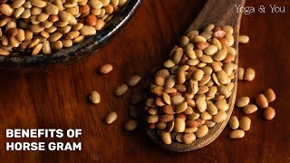 Powerful Kidney Stone Remedy | Horse Gram | Weight Loss Drink by VENTUNO YOGA 3,872 views 1 month ago 1 minute, 35 seconds