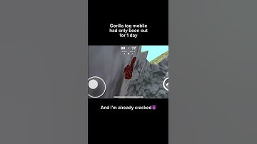 Thumbnail of Gorilla tag mobile has only been out for one day and I’m already cracked #gorillatag #mobile #meme