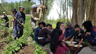 Village Life Afghanistan |Daily Routine Village life | Cooking Shir Berenj  (Afghan Rice Pudding)