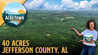 Owner Financed Land in Alabama | 40 acres w/Creek | Great Hunting & Rec Tract | Gate on Paved Road