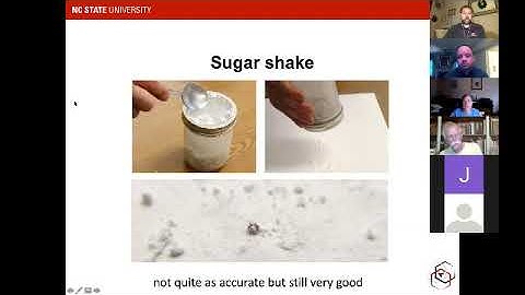 Sampling for varroa mites