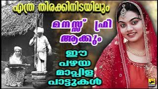 എത്ര തിരക്കിനിടയിലും മാസ്സ് ഫ്രീ ആക്കും ഈ പഴയ മാപ്പിളപ്പാട്ടുകൾ Old IS Gold Mappila Pattukal