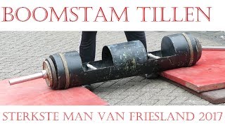 Sterkste Man Van Zuid-West Friesland Onderdeel Boomstam Tillen.