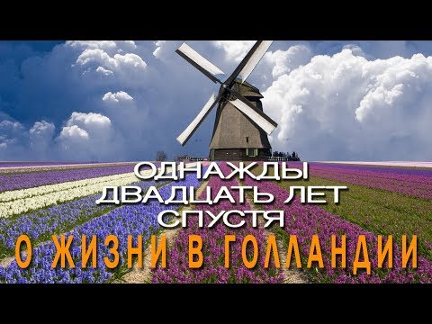 20 лет в Голландии. Семья, роды