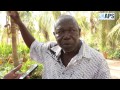 Visite écologique à KAYDARA : Interview avec le Directeur Gora Ndiaye (Lire en HD)