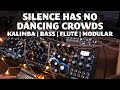 Silence has no dancing crowds  kalimba  bass  flute  modular