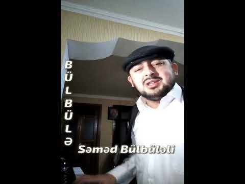 Semed Bulbule  -  Bulbule kendi