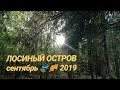 Осенний лес 🌲🌳 2019 🍃🍃🍃 / Есенна гора 🌲🌳 2019 🍃🍃🍃 / Autumn forest 🌲🌳 2019 🍃🍃🍃