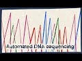 Automated dna sequencing  biology tutorial