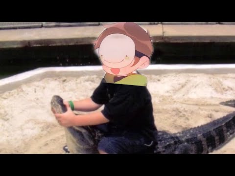 Face Reveal Of A Young Dream In Quackity S Stream Youtube
