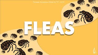 FLEAS | Parasite Awareness Week