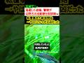 玉城デニーが落選した途端、警察が辺野古の活動家を即排除w やはり元凶は…のサムネイル