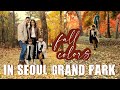 Seoul Grand Park- 단풍 memories