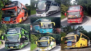 Kumpulan klakson bus telolet basuri fenomenal bus bus pariwisata 2025 - 2026