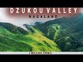 Dzukou Valley | Northeast India : Nagaland