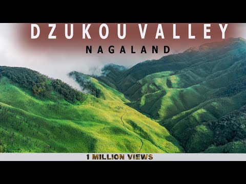 Dzukou Valley | Northeast India : Nagaland