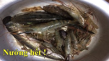 Cá lóc đồng tôm càng xanh nướng đãi khách ghé thăm chòi | DÂN MIỀN TÂY