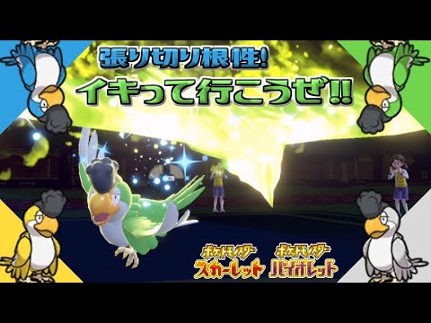 イキってゴリ押す根性 張り切り型イキリンコ 全てのポケモンに輝きをシリーズ イキリンコ編 ポケモンsv Youtube