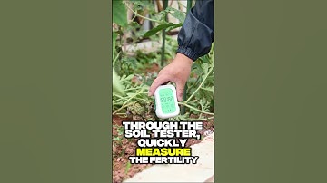 Soil Lacks Nutrients? Plant Wilting? Use a Soil Tester for Accurate Diagnosis and Easy Fix#Nutrients