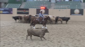 Outreygous Diamond Shown by Nick Dowers - 2021 Snaffle Bit Futurity (Open Herd)