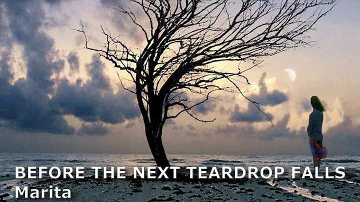Before the next teardrop falls   Marita 2013