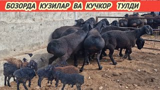 СУРХОНДАРЁ  ОЛТИНСОЙ  МИРШОДИ  КУЙЛАР. ТУЛА  ТЕЛ НУМИРИ БИЛАН                  6 апреля 2024 г