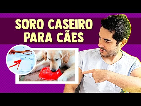 Vídeo: Sinais e sintomas de lesões na medula espinhal de cães