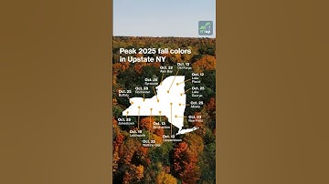 2025 fall foliage: Here’s when fall colors are expected to peak in Upstate NY