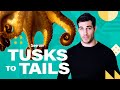 Octopus Intelligence and Adaptations Quiz