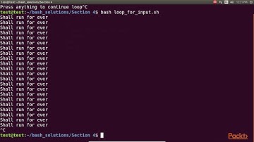 Bash Scripting Solutions : Running Program Continuous Forever Looping Constructs | packtpub.com