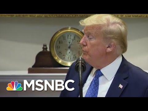 Months Into COVID-19 Crisis Trump Lacks Basic Understanding Of Key Issues | Rachel Maddow | MSNBC