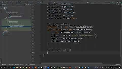 10 - Java Serialization with memory buffer - Code Demo 2
