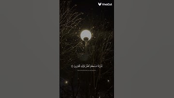 #سورة_النحل #قرآن #قران_كريم #اذكر_الله_يذكرك #استغفر_الله