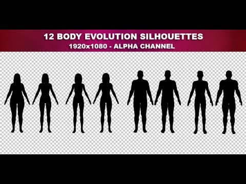 12 Body Evolution Silhouettes  Videohive Project Templates - YouTube
