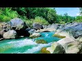 Live 24/7 Tranquil River Flow – Relaxing Water Sounds &amp; Green Noise for Sleep &amp; Calm