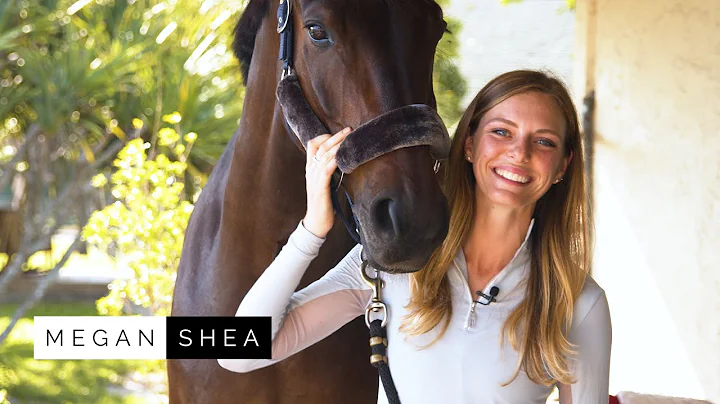 Megan Shea - Equestrian Coaching & Sales in Wellin...
