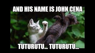 What If john cena was a cat. #2 ( John cena meme ) #shorts #johncena Resimi