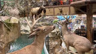 Waterfall of Bass Pro Shops