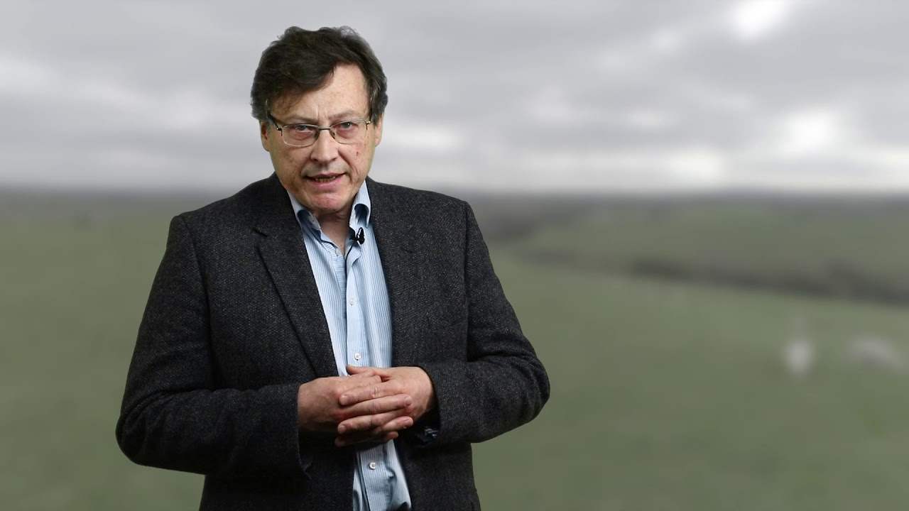 pigs lyrics Livestock Information Programme Episode 3 of 3