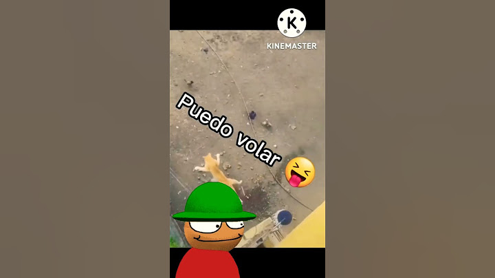 el gato que cree va volar 😂😂😂😂😺🕊️xd