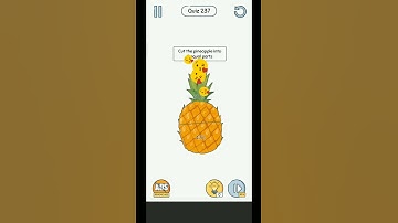 Brain Up Level 237 Walkthrough