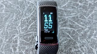 teminice fitbit