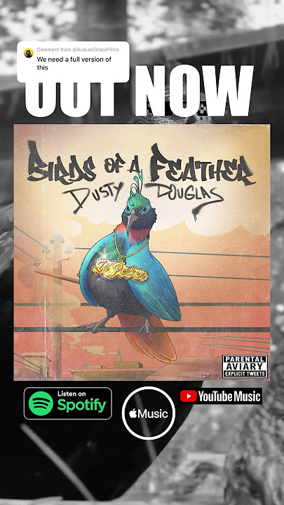 🦅 YOU WANT, YOU GOT “Birds of a Feather” OUT NOW! 🎥: hotoffthenest (IG) & ilgallinaio_special (TT)