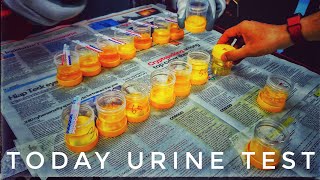 Urine Test / Ujian Air Kencing